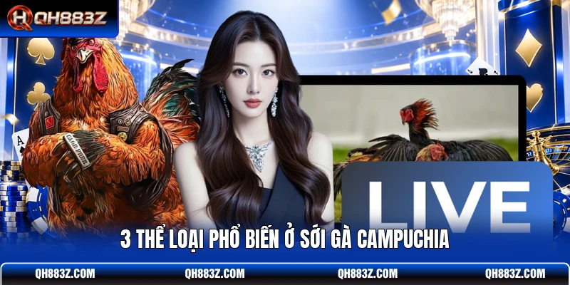 3 thể loại phổ biến ở sới gà Campuchia
