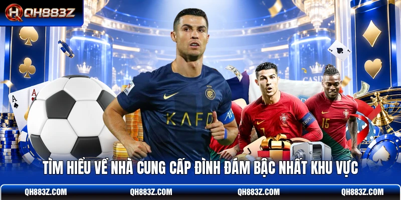 Tìm hiểu về nhà cung cấp đình đám bậc nhất khu vực